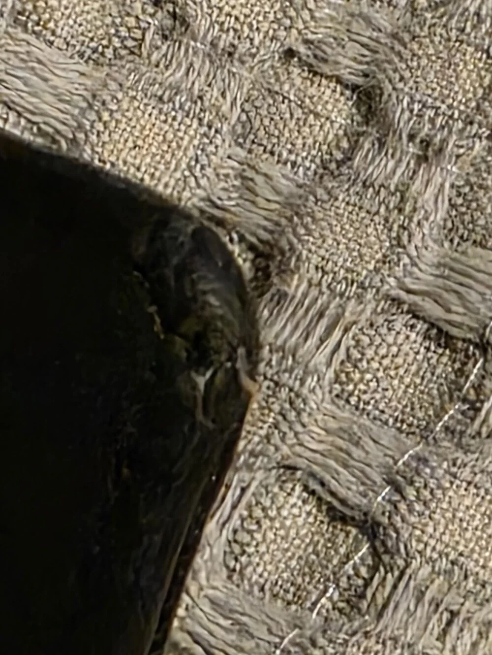 CHANEL quilted caviar